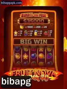 Explorando o Universo de Entretenimento do Jogo FruitNovaSuper40